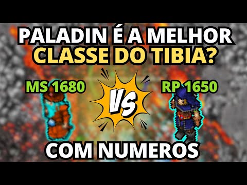 A REALIDADE DO PALADIN VS MASTER SORCERER NO TIBIA