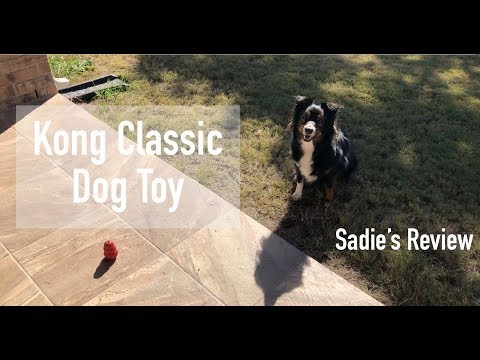 Kong Classic Dog Toy