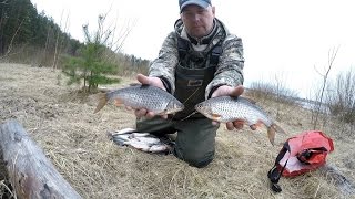 Ловля плотвы в мае на рыбинском водохранилище