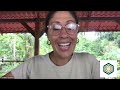 Meditation Mindfulness And A Mudita Practice With Avani Gilbert Of La Colmena Collective