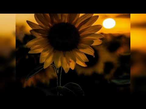 muda o meu nome (letra)