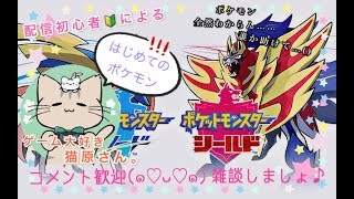 【ポケットモンスター シールド】クリア後のいろいろしていくよ【初心者】