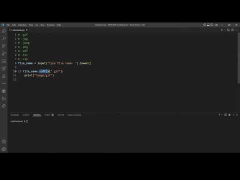 File Extensions -Problem Set 1 (CS50's Introduction to Programming with Python)