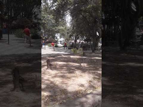 Serrinha #Serrinha #Cidade #Bahia #Cidadegrande  #bahiabrasil