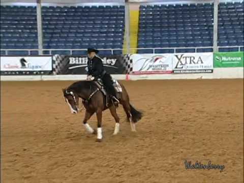 GOTTA SHINEY WHIZ Kelle Smith