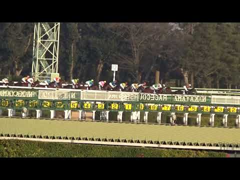 2017 有馬記念 キタサンブラック ARIMA MEMORIAL Kitasan Black