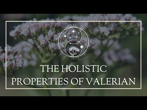 The Holistic Properties of Valerian