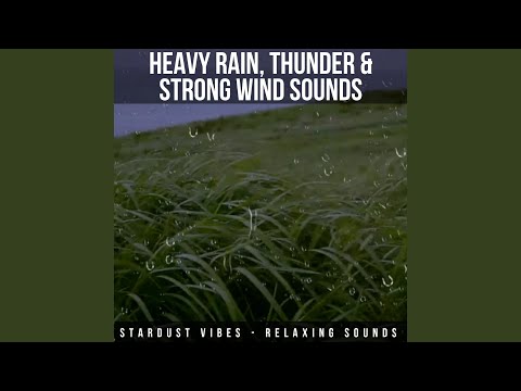 Heavy Rain, Thunder and Strong Wind Sounds