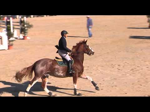 00001F8D 1   VEN 5   C 135 T39 INSPIRATION VAN´T RUYTERSHOF   CIPRIANI LORENZO   ITA 62 1