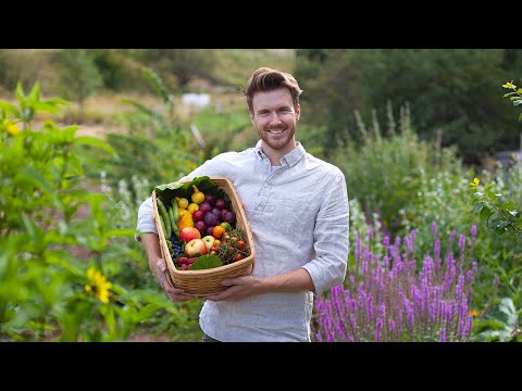Från gräsmark till ätligt landskap på 2,5 år! Frukt, bär, nötter, örter & blommor
