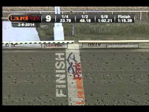 Laurel Park 02/08/14 race 9