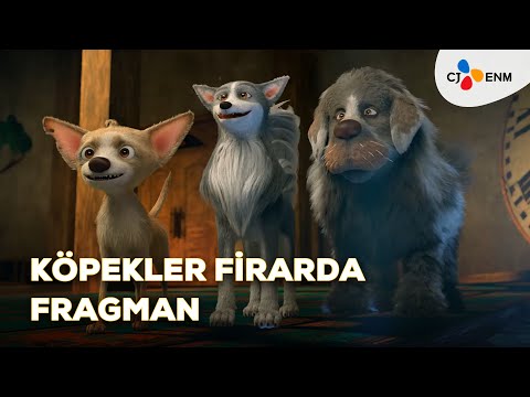 Köpekler Firarda 13 Eylül’de Sinemalarda