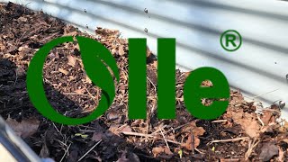 Olle Garden | Filling a Raised Bed Garden | Planting Strawberries| EverCrest
