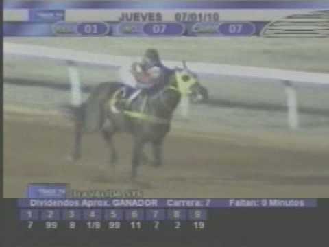 Resumen 7 de Enero 2010 - Santa Rita