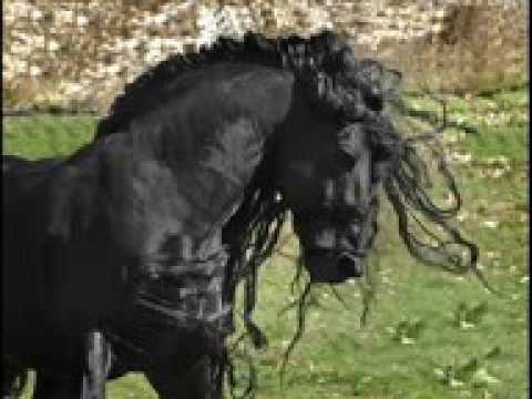 Spanish Guitar - Best Hits Vol.2