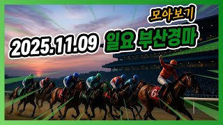 2025년 11월 9일 일요 부산경마 전체경주 모아보기