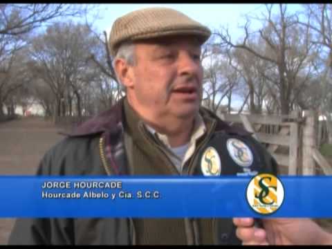 JORGE HOURCADE - Hourcade Albelo y Cía. S.C.C. - Rauch - 23/08/2013