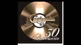 Con dinero puedes-cardenales de nuevo leon