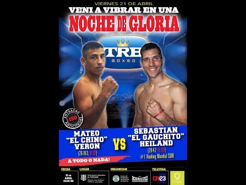 El Porvenir, Noche de gloria