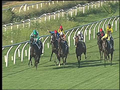 Galoppo 13/07/2016 - 2° corsa