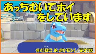 【ぽこ あ ポケモン】 ／ メインクエスト「うみのしんでん」前編、まずはワニノコとヒドイデ【まぐまぐまぐろん】