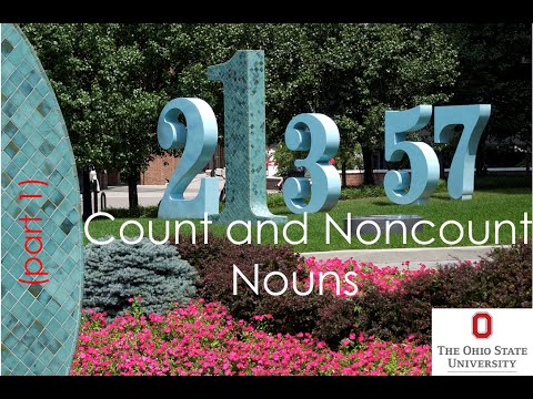 Count and Noncount Nouns (Part 1)