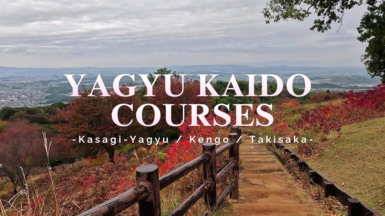 Experience the captivating visuals of Yagyu Kaido in this video.