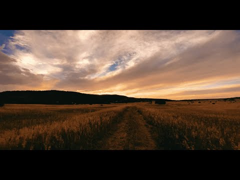 Al Tashlicheini — Motty Steinmetz / מוטי שטיינמץ — אל תשליכנו │ English / Lyrics / ES