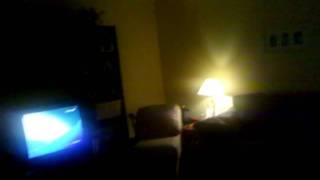 Spider cricket house removal