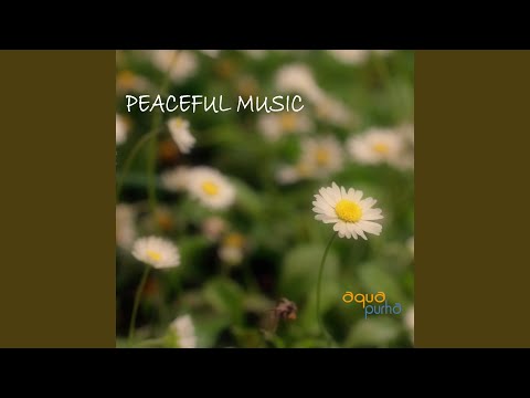 Before Sunset (Piano Music for Relaxation)