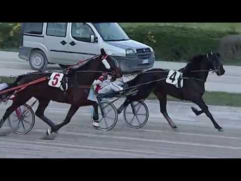 Aversa trotto 5 Febbraio 2020 - 3° Corsa