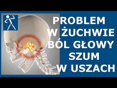 Co wypełnia w kulturystyce Ćwiczenia mięśni prosto
