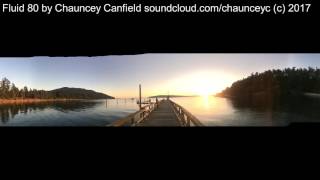 Performed by Chauncey Canfield in Portland, OR. Fluid 80