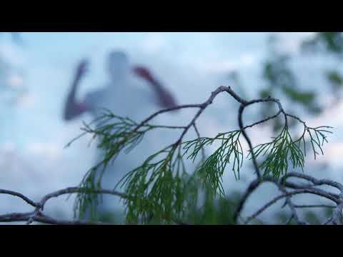 BCF All 4 Adventure Camping Hacks - Natural Mozzie Repellent