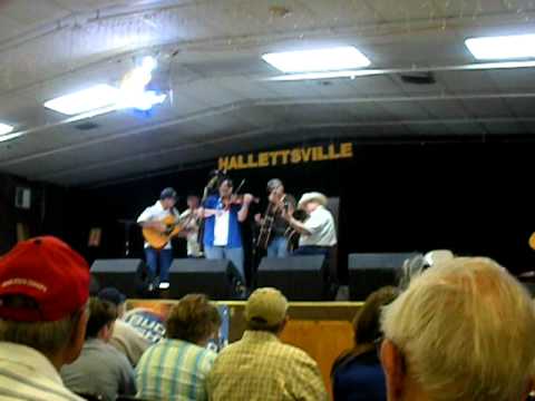 Fiddlers' Frolics - Sally Johnson