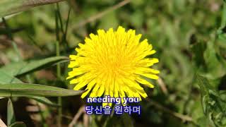 Love Me - Marty Robbins: with Lyrics(가사번역) || Molas Lake, Silverton, Colorado on June 20, 2006