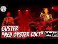 Guster "Red Oyster Cult" LIVE