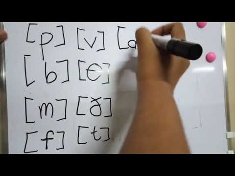 International Phonetic Alphabet (IPA): What it is and Its Importance