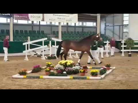 Canoso - Lantino - Carthago