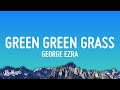 George Ezra Green Green Grass Lyrics