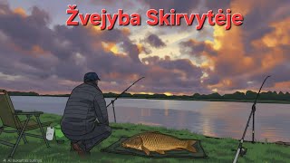 Ar dar kimba sazanai? | O gal jau pasirodė karšiai? | Žvejyba skirvytėje