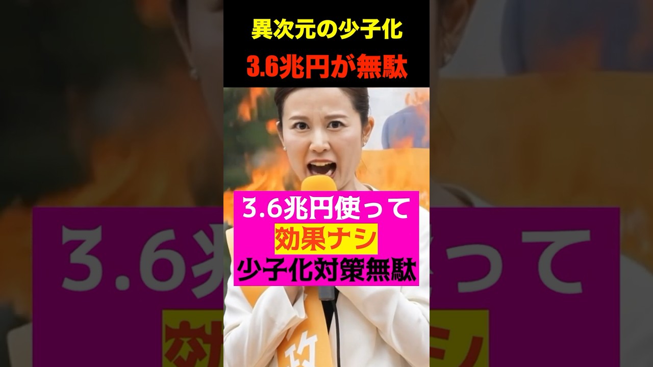 【参政党】中田裕子！少子化対策に言及！3.6兆円使って効果ナシ！