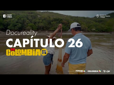 No te pierdas del avistamiento de ballenas en el Chocó Colombiano | Capítulo 26