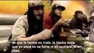 morodo - fumo marihuana (vídeo oficial + letra)