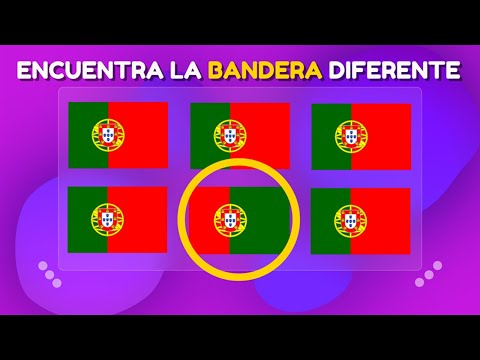 Encuentra la BANDERA DIFERENTE 👀🚩| Aprende las banderas del mundo | Prueba tu agilidad visual 🤓