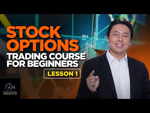 Stock Options Trading Course for Beginners Lesson 1 (Part 1 of 2)