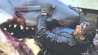 Surfer Blood-I&#39;m not ready HQ