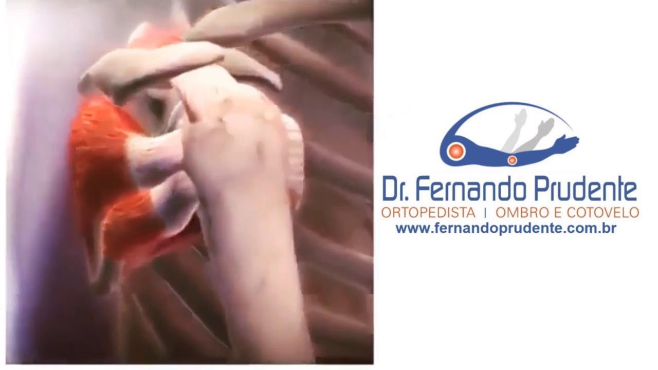 Fernando Prudente Gonçalves-8