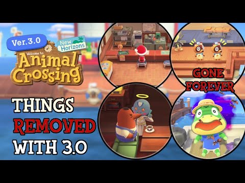 Things Nintendo REMOVED Within 3.0 Update Animal Crossing : New Horizons (SECRET Details & Change)