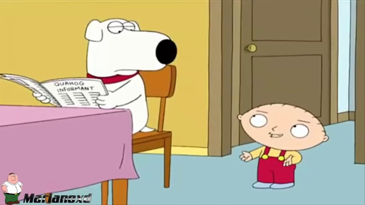 Stewie golpea a bryan por su dinero - Padre de familia (HD)